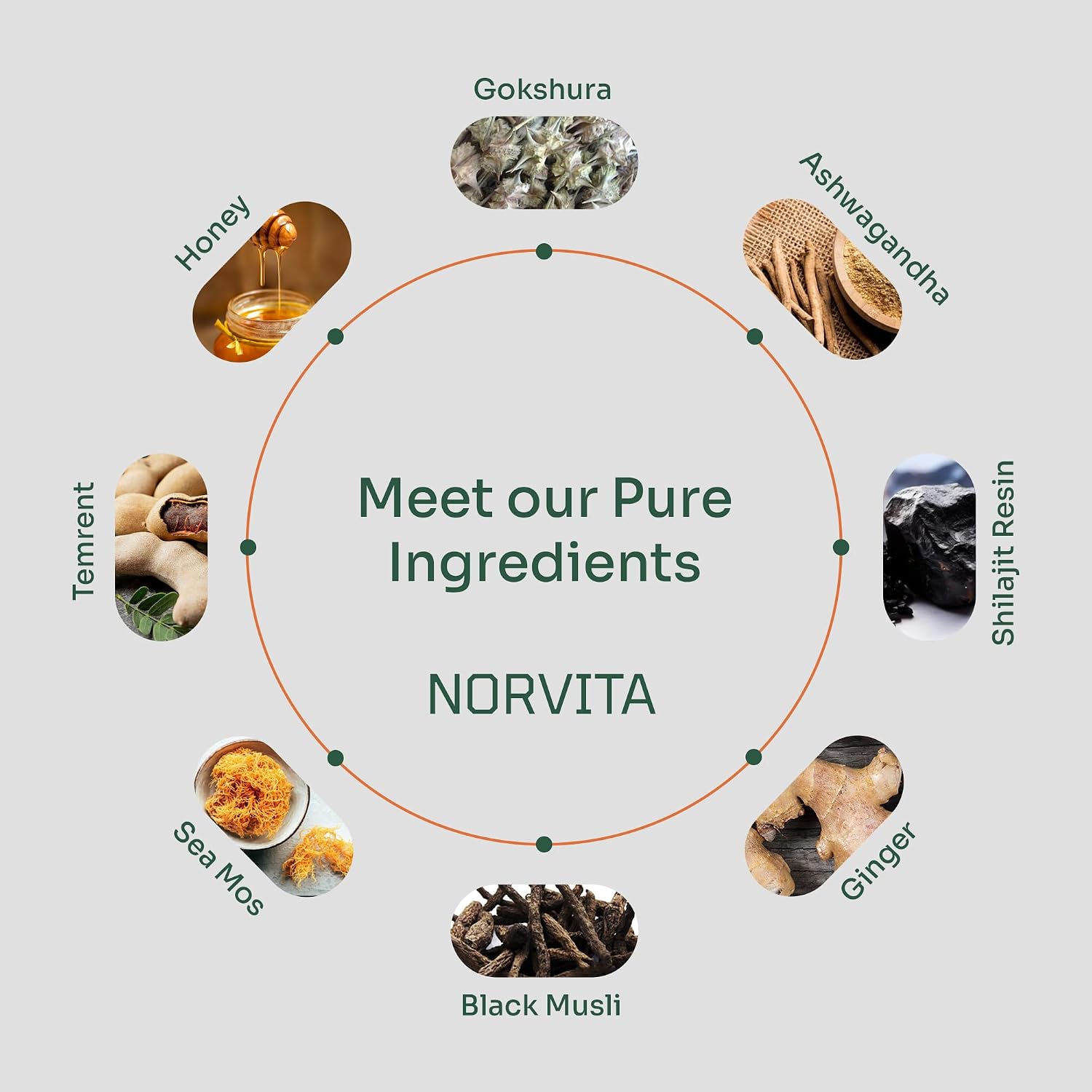 Norvita Alpha Gummies - Image 4